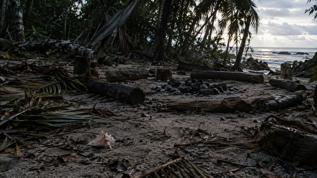 Abandoned island meeting place with a cold fire pit, rough log circle, storm debris, and a pale shell.