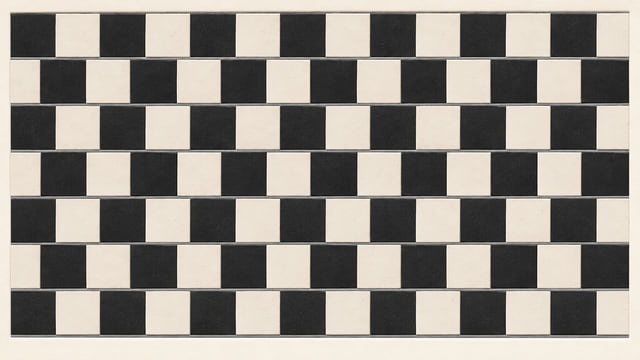 The Café Wall Illusion: Why Parallel Lines Look Tilted