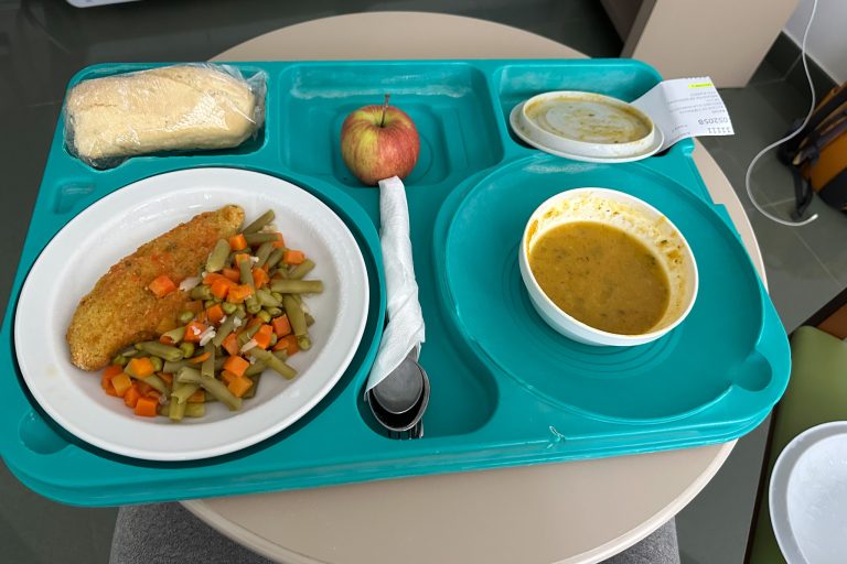 Food tray